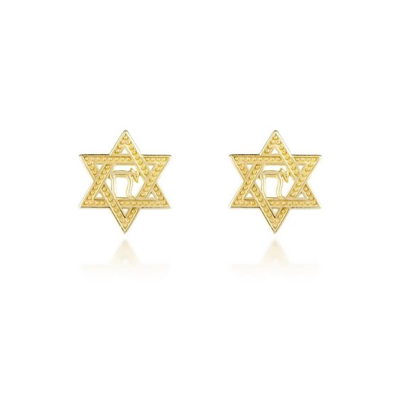 10K Solid Gold Star of David with Chai Stud Earrings - Yellow, Rose, or White